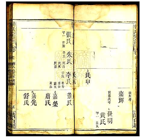 [杨]杨氏宗谱 (湖北) 杨氏家谱_十九.pdf