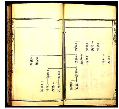 [杨]杨氏宗谱 (湖北) 杨氏家谱_三.pdf