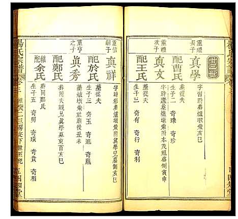 [杨]杨氏宗谱 (湖北) 杨氏家谱_四.pdf