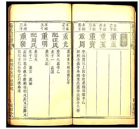 [杨]杨氏宗谱 (湖北) 杨氏家谱_六.pdf