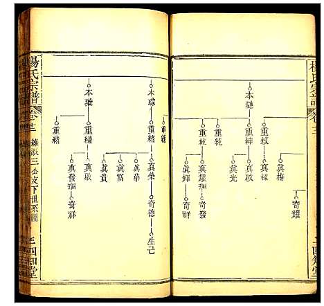 [杨]杨氏宗谱 (湖北) 杨氏家谱_十三.pdf