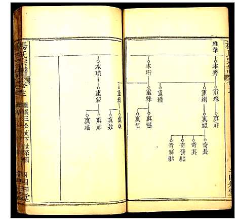 [杨]杨氏宗谱 (湖北) 杨氏家谱_十三.pdf