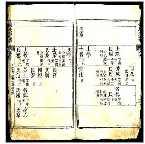 [杨]杨氏宗谱 (湖北) 杨氏家谱_十二.pdf