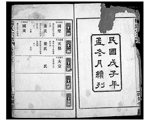 [杨]杨氏宗谱 (湖北) 杨氏家谱_九.pdf