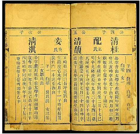 [杨]杨氏宗谱_10卷 (湖北) 杨氏家谱_八.pdf