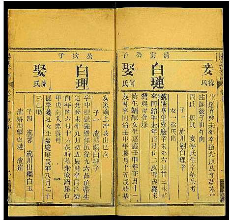 [杨]杨氏宗谱_10卷 (湖北) 杨氏家谱_九.pdf