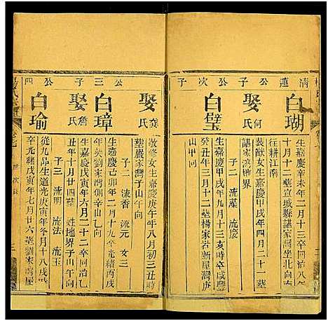 [杨]杨氏宗谱_10卷 (湖北) 杨氏家谱_九.pdf