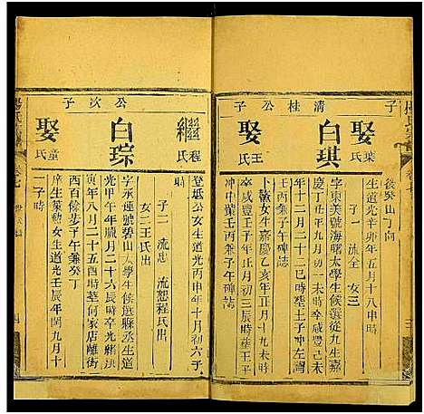 [杨]杨氏宗谱_10卷 (湖北) 杨氏家谱_九.pdf