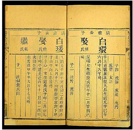 [杨]杨氏宗谱_10卷 (湖北) 杨氏家谱_九.pdf