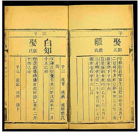 [杨]杨氏宗谱_10卷 (湖北) 杨氏家谱_十.pdf