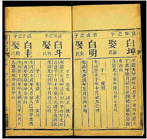 [杨]杨氏宗谱_10卷 (湖北) 杨氏家谱_十.pdf