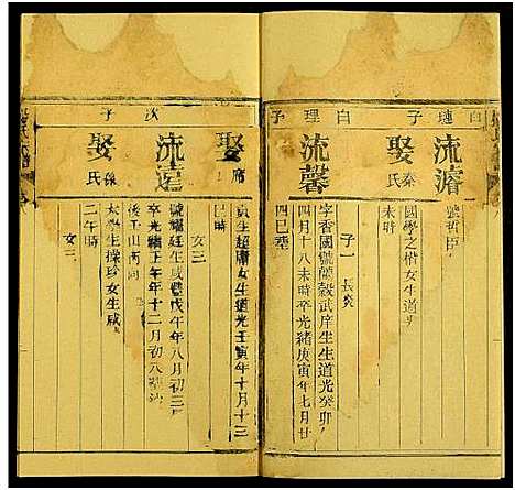 [杨]杨氏宗谱_10卷 (湖北) 杨氏家谱_十二.pdf