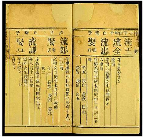 [杨]杨氏宗谱_10卷 (湖北) 杨氏家谱_十二.pdf