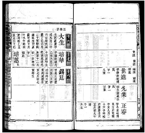 [杨]杨氏宗谱_18卷-大栗杨氏宗谱_杨氏宗谱 (湖北) 杨氏家谱_五.pdf