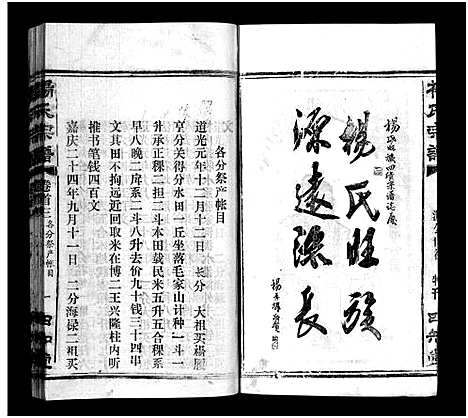 [杨]杨氏宗谱_52卷首6卷-杨氏宗谱 (湖北) 杨氏家谱_四.pdf