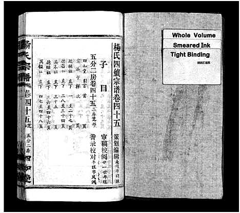 [杨]杨氏宗谱_52卷首6卷-杨氏宗谱 (湖北) 杨氏家谱_四十二.pdf