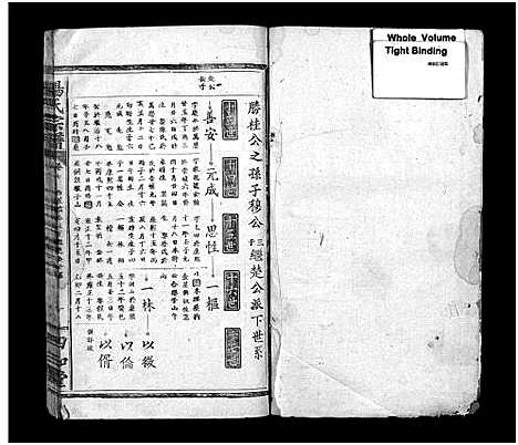 [杨]杨氏宗谱_7卷_含首2卷-杨氏宗谱 (湖北) 杨氏家谱_五.pdf