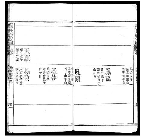 [杨]杨氏宗谱_不分卷 (湖北) 杨氏家谱_五.pdf