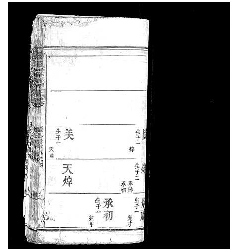 [杨]杨氏宗谱_不分卷 (湖北) 杨氏家谱_六.pdf