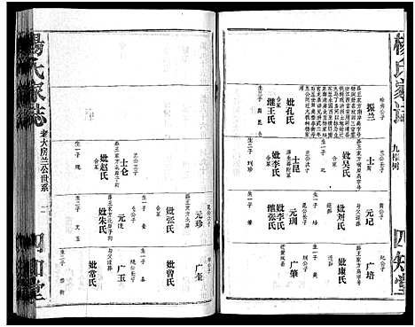 [杨]杨氏家志_按房分卷首1卷-Yang Shi Jia Zhi_杨氏家志 (湖北) 杨氏家志 _二.pdf