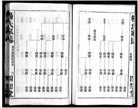 [杨]杨氏家志_按房分卷首1卷-Yang Shi Jia Zhi_杨氏家志 (湖北) 杨氏家志 _三.pdf