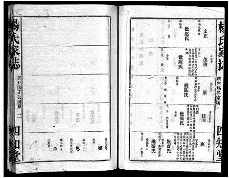 [杨]杨氏家志_按房分卷首1卷-Yang Shi Jia Zhi_杨氏家志 (湖北) 杨氏家志 _十二.pdf