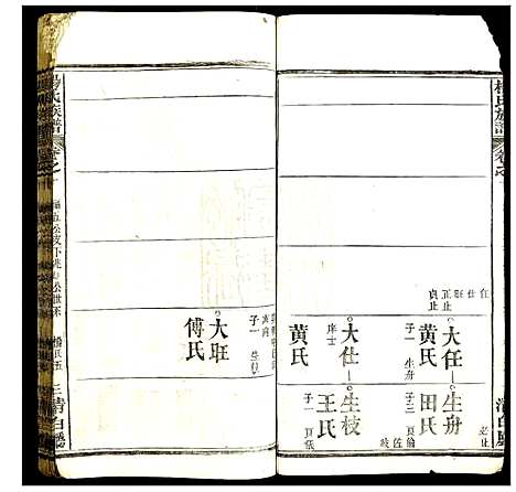 [杨]杨氏族谱 (湖北) 杨氏家谱_九.pdf