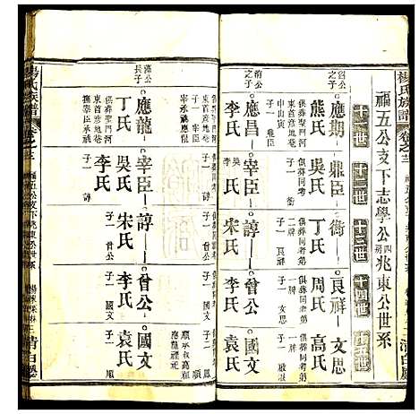 [杨]杨氏族谱 (湖北) 杨氏家谱_十一.pdf