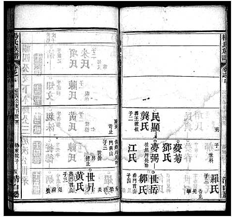 [杨]杨氏族谱_24卷首4卷_末1卷-杨氏宗谱 (湖北) 杨氏家谱_八.pdf