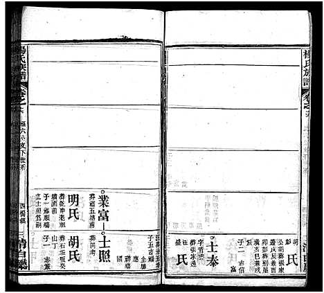 [杨]杨氏族谱_24卷首4卷_末1卷-杨氏宗谱 (湖北) 杨氏家谱_二十.pdf