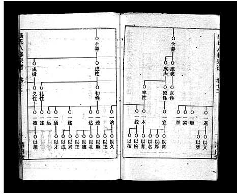 [杨]浠川杨氏大分八修宗谱_53卷-杨氏八修宗谱_Xi Chuan Yang Shi Da Fen Ba Xiu (湖北) 浠川杨氏大分八修家谱_九.pdf