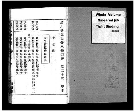 [杨]浠川杨氏大分八修宗谱_53卷-杨氏八修宗谱_Xi Chuan Yang Shi Da Fen Ba Xiu (湖北) 浠川杨氏大分八修家谱_二十四.pdf