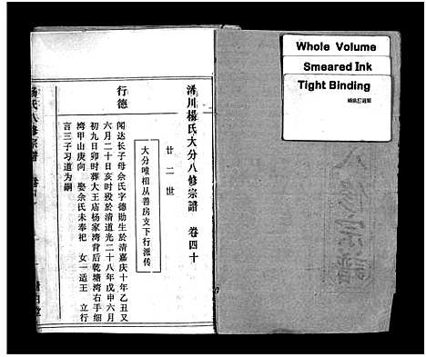 [杨]浠川杨氏大分八修宗谱_53卷-杨氏八修宗谱_Xi Chuan Yang Shi Da Fen Ba Xiu (湖北) 浠川杨氏大分八修家谱_四十二.pdf