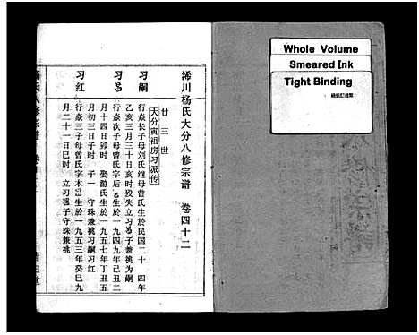 [杨]浠川杨氏大分八修宗谱_53卷-杨氏八修宗谱_Xi Chuan Yang Shi Da Fen Ba Xiu (湖北) 浠川杨氏大分八修家谱_四十五.pdf