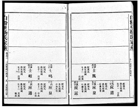 [杨]白粉壁杨氏宗谱 (湖北) 白粉壁杨氏家谱_一.pdf