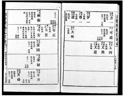 [杨]白粉壁杨氏宗谱 (湖北) 白粉壁杨氏家谱_五.pdf