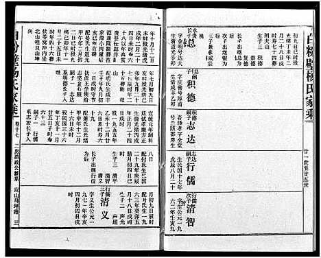 [杨]白粉壁杨氏宗谱 (湖北) 白粉壁杨氏家谱_八.pdf