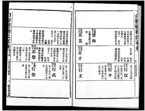 [杨]白粉壁杨氏宗谱 (湖北) 白粉壁杨氏家谱_十一.pdf