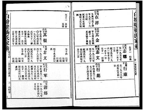 [杨]白粉壁杨氏宗谱 (湖北) 白粉壁杨氏家谱_十一.pdf