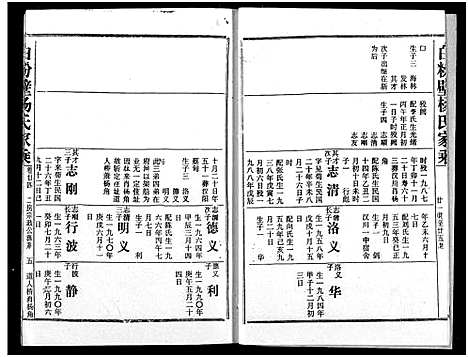 [杨]白粉壁杨氏宗谱 (湖北) 白粉壁杨氏家谱_十一.pdf