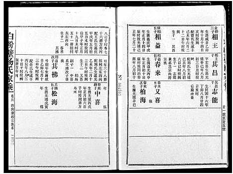 [杨]白粉壁杨氏宗谱 (湖北) 白粉壁杨氏家谱_十二.pdf