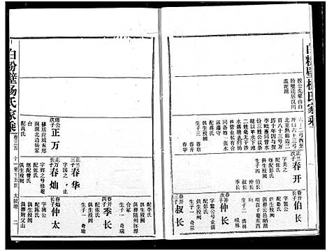 [杨]白粉壁杨氏宗谱 (湖北) 白粉壁杨氏家谱_十八.pdf