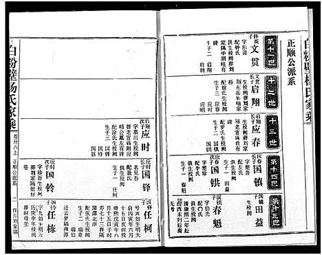 [杨]白粉壁杨氏宗谱 (湖北) 白粉壁杨氏家谱_十九.pdf