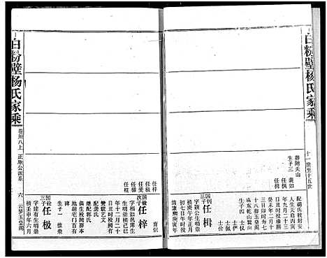 [杨]白粉壁杨氏宗谱 (湖北) 白粉壁杨氏家谱_十九.pdf