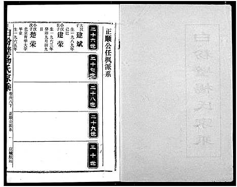 [杨]白粉壁杨氏宗谱 (湖北) 白粉壁杨氏家谱_二十一.pdf