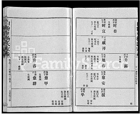 [杨]白粉壁杨氏家乘_38卷首末各1卷-Bai Fen Bi Yang Shi Jia Cheng (湖北) 白粉壁杨氏家乘 _三.pdf