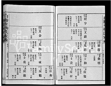 [杨]白粉壁杨氏家乘_38卷首末各1卷-Bai Fen Bi Yang Shi Jia Cheng (湖北) 白粉壁杨氏家乘 _三.pdf