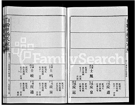 [杨]白粉壁杨氏家乘_38卷首末各1卷-Bai Fen Bi Yang Shi Jia Cheng (湖北) 白粉壁杨氏家乘 _三.pdf