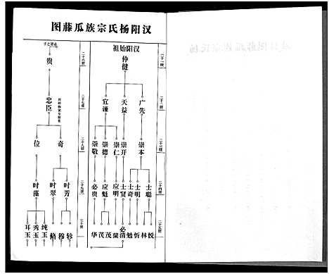 [杨]杨氏宗谱_甲编4卷_乙编12卷_系图2卷 (湖北) 杨氏家谱_一.pdf