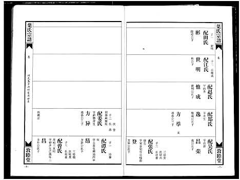 [叶]南阳叶氏宗谱 (湖北) 南阳叶氏家谱_五.pdf